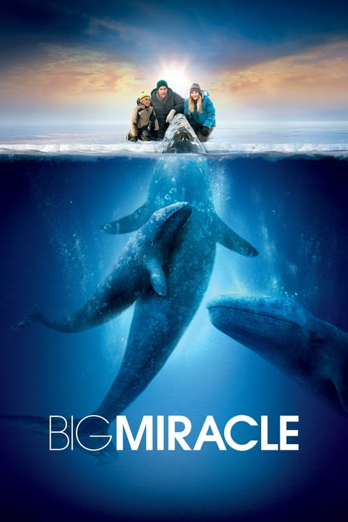 دانلود فیلم Big Miracle